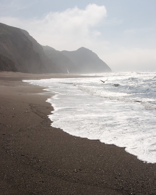 Wildcat Beach Wildcat Beach