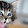 Sofia Cook Sofia Cook's profile photo