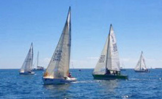 J/24s sailing upwind at South Australian States regatta