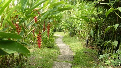 Photos of Pete's Place Manuel Antonio