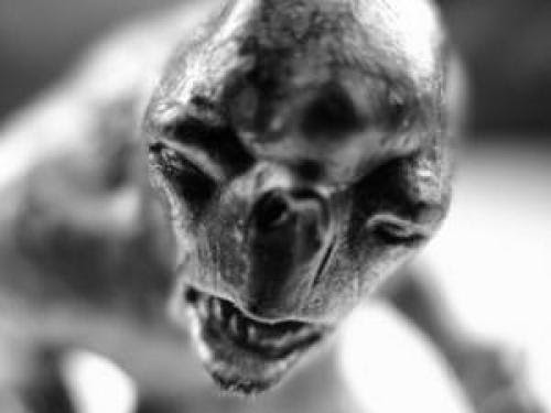 Branton Reptilians And Other Odd Conspiracies By An Anonymous Author