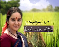 Gemini Tv Telugu Serials Mamathala Kovela