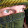 Jeremy Friesen Jeremy Friesen's profile photo