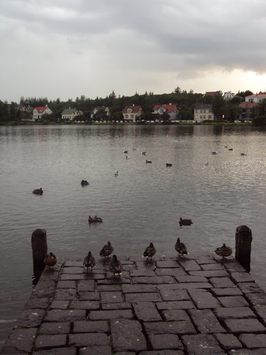 Islandia (agosto de 2011) - Blogs de Islandia - Reykjavic (1)