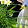asya oguz asya oguz's profile photo