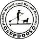 SupDogs Paddle Board and Kayak Rentals