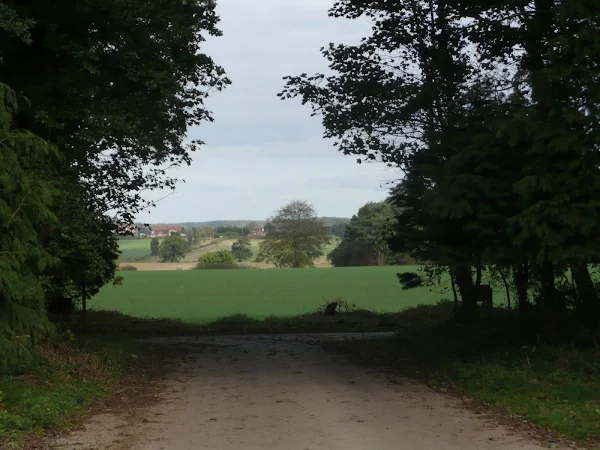 View from Keepers Lane near Mannington Hall