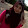 Ika Nur Qamariyah Ika Nur Qamariyah's profile photo