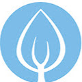 Boditree Pilates & Healing Vancouver logo