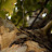 Matthew Jimenez avatar image