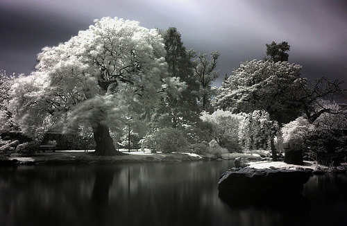 infrared photography 1