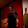 Warren Daly Warren Daly's profile photo