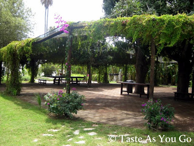 Event Garden at Los Tamarindos in Los Cabos, Mexico - Photo by Taste As You Go