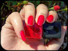 alessandro 5.jpg http://astinails.blogspot.fr/2013/11/c-oucou-mes-jolies-d-esolee-pour-mes.html