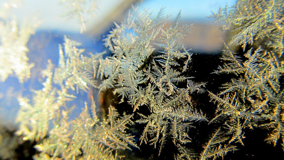 Closeup of frost on the Jeep