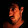 Assaf Uzan Assaf Uzan's profile photo