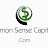 Common Sense Capitalism