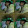 haymann oo haymann oo's profile photo