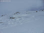 Avalanche Haute Tarentaise, secteur Col de l'Iseran, Col Pers - Plates du vallonnet - Grand-Torsai, - Photo 2 - © Moreau Michel