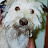 Steve West avatar image