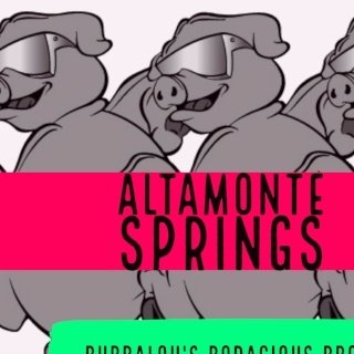 Bubbalou's Bodacious Bar-B-Que - Altamonte Springs logo