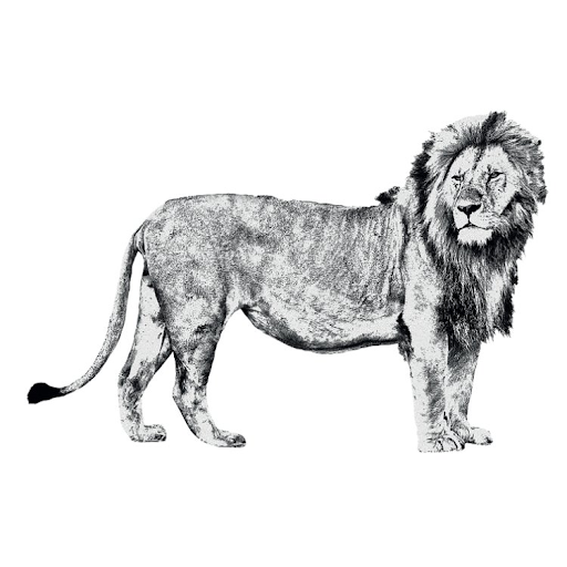 Piet de Leeuw logo
