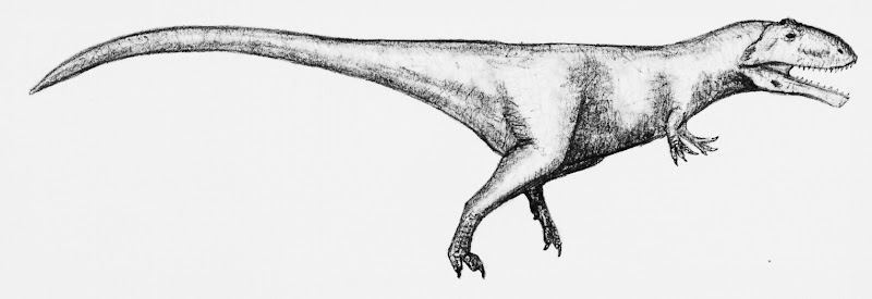 Große Theropoden - Seite 3 Mapusaurus_rosae---
