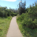 Track near the Gap Bluff (256736)