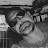 Rob Whapham avatar image