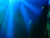 DSC02435.JPG