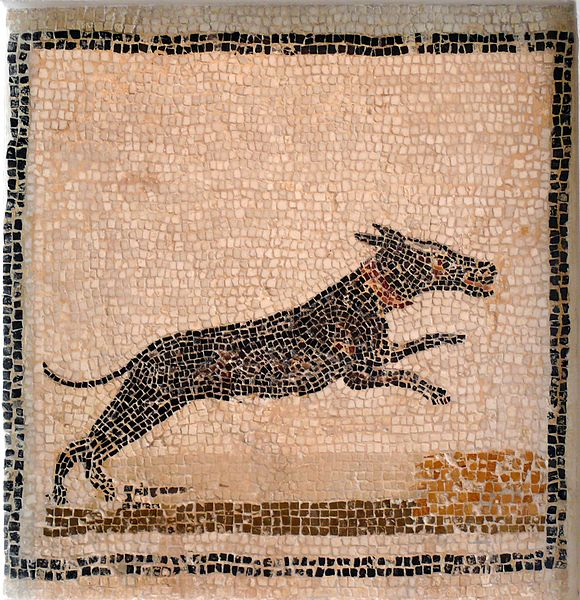did romans have dogs as pets
