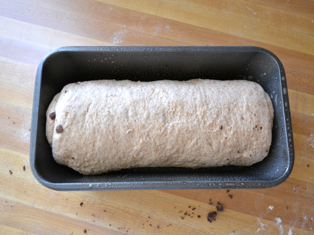 rolled up dough placed in bread pan