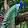 Marlon Brandon Machaini Marlon Brandon Machaini's profile photo