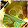 Katelyn McCallum Katelyn McCallum's profile photo