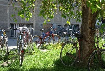 Велосипеды в Заечаре