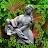 Cori Mayo avatar image