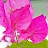 Anshuman Behera avatar image