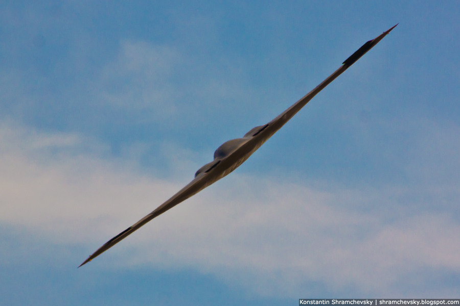 USA Air Force B-2 Spirit Stealth Bomber Spirit Of Nebraska США ВВС Б-2 Спирит Стелс Бомбардировщик Спирит Оф Небраска Дух Небраски