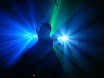 DSC02441.JPG