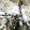 Gopal Thakur Gopal Thakur's profile photo