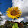 Kris K Kris K's profile photo