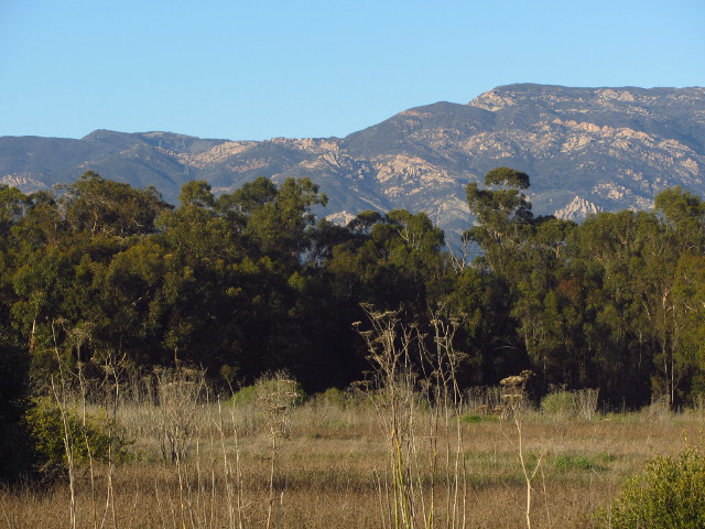 mountains behind Goleta