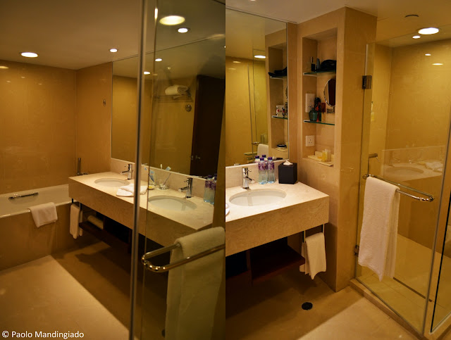 No frills toilet and bath area, all in marble.