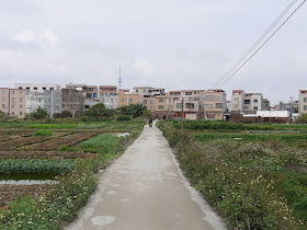 narrow paved road through a field in Yangjiang, China