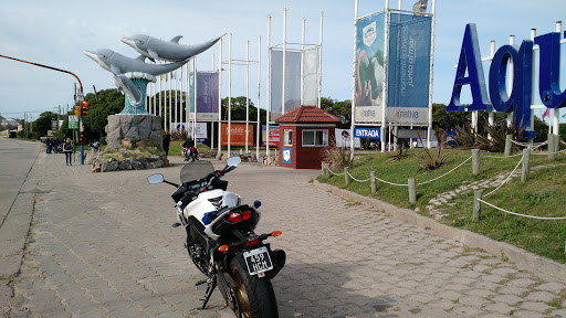 Mar del Plata Aquarium