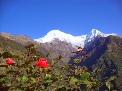 Photos of Base Camp Excursion Pvt. Ltd Nepal