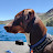 Randal Wright avatar image