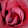 marie robinson marie robinson's profile photo