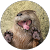 Eugene F