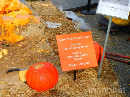 The World Record Pumpkin Carving